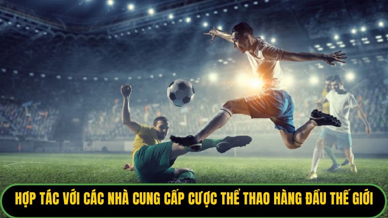 Hợp tác với các nhà cung cấp cược thể thao hàng đầu thế giới